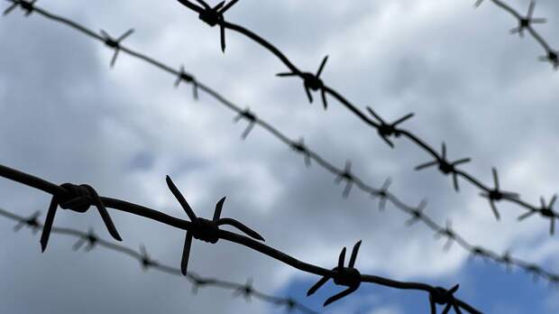 СМИ: Экс-жена топ-менеджера «Альфа-банка» Галицкого покончила с собой в СИЗО