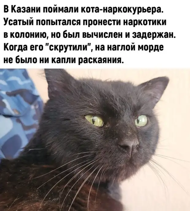 Прикольные картинки и мемы - хороших выходных