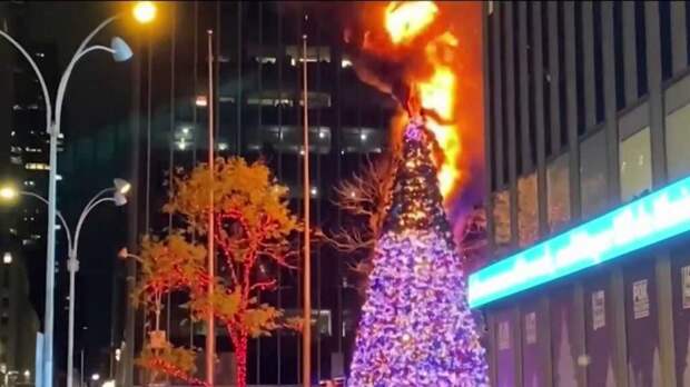 В Манхэттене мужчина поджог рождественскую елку