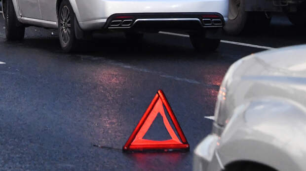 Женщина насмерть сбила медвежонка на трассе в Сочи