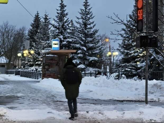 В Тулу пришла зима