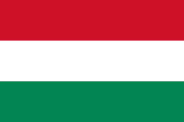 МИД Венгрии: прекращение поставок российской нефти уничтожит экономику страны