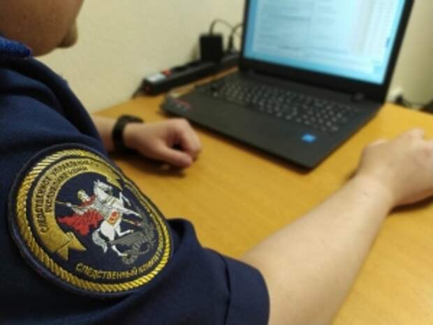 Председатель СК России поручил возбудить уголовное дело по факту хулиганства в Ямало-Ненецком автономном округе