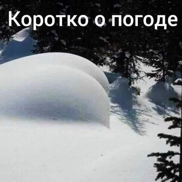 Звонит телефон. В трубке раздаётся приятный женский голос...