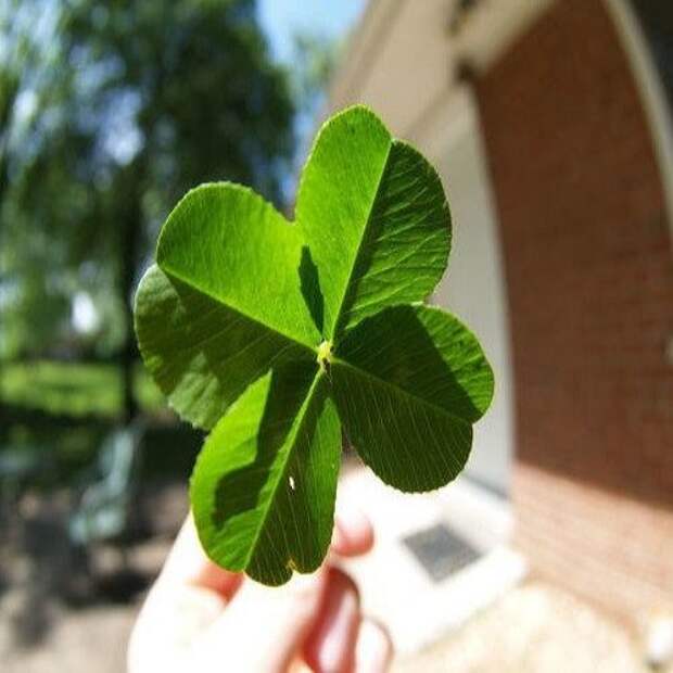 3 знака зодиака, которых ждет удача в июне