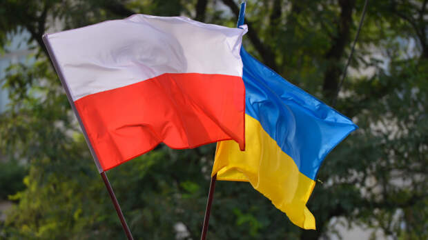 Польшу пригласили поучаствовать в приватизации промышленных объектов Украины