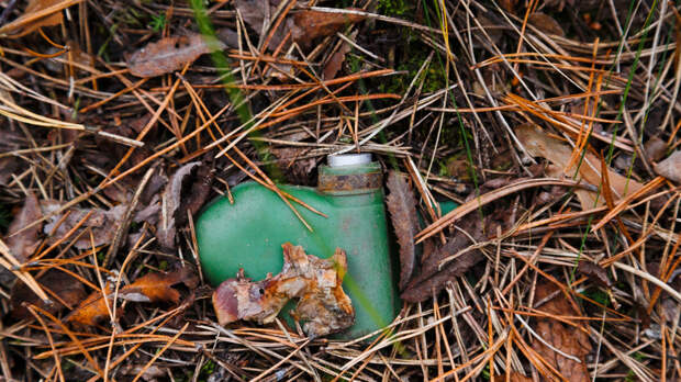 Литва официально вышла из Оттавской конвенции по противопехотным минам