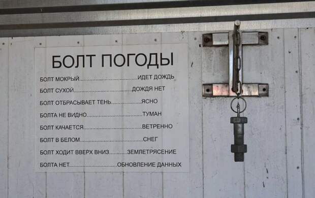 Смотри на кошку, звёздное небо или на ласточек: какие приметы помогут предсказать погоду на завтра
