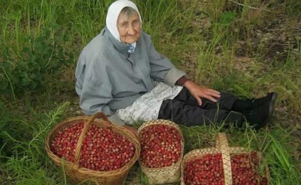 Запрещено всё: нельзя к реке, нельзя в лес. Нельзя ничего