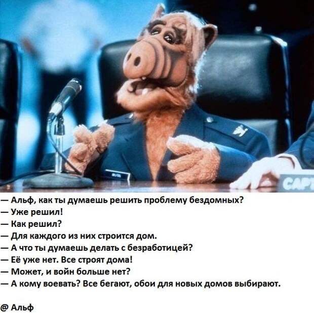 Прикольные картинки Прикольные картинки