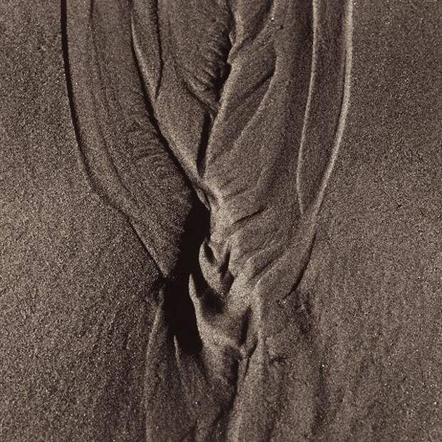 Лучшие фотографии International Photography Awards (IPA) 2007