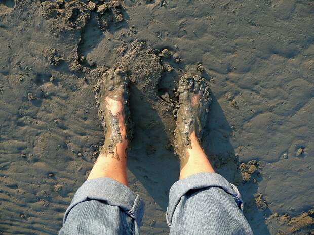Mud, Watt, Feet, Naked, Wadden Sea, North Sea, Muddy