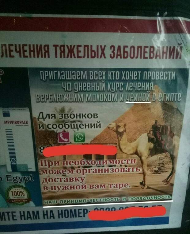 Нетрадиционное лечение: когда уринотерапия схлестнулась с гомеопатией Нетрадиционное лечение: когда уринотерапия схлестнулась с гомеопатией