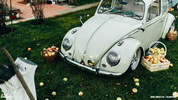 Aircooled Beetle build