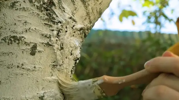 Что не стоит желать весной на даче, потому что это бесполезно