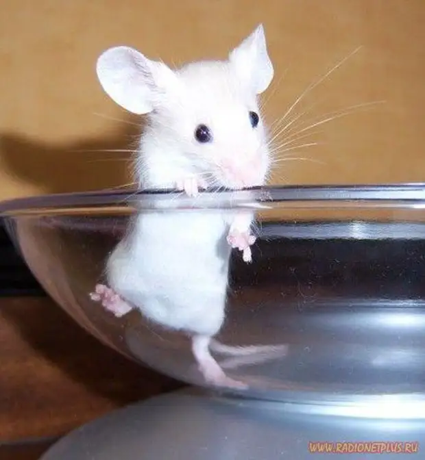 Улыбнись! :) (21повод)