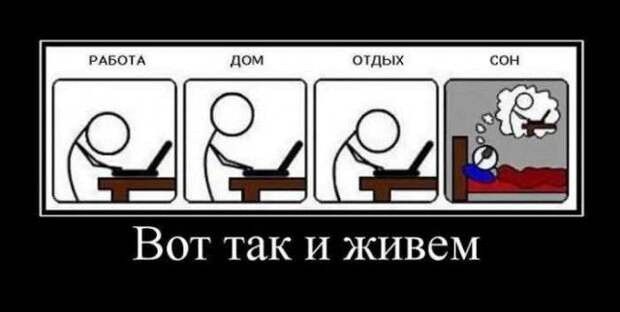1589439953_demki-14.jpg