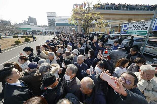 Правящая в Японии ЛДП намерена получить большинство в нижней палате парламента: опрос Kyodo