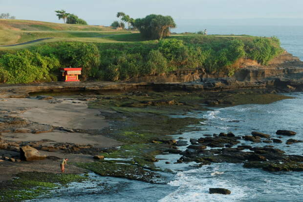 Россиянка покрылась зудящей сыпью после контакта с насекомым на Бали