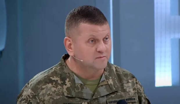 Залужный: Даже если мы начнём призывать девушек, нам не хватит сил дойти до Москвы