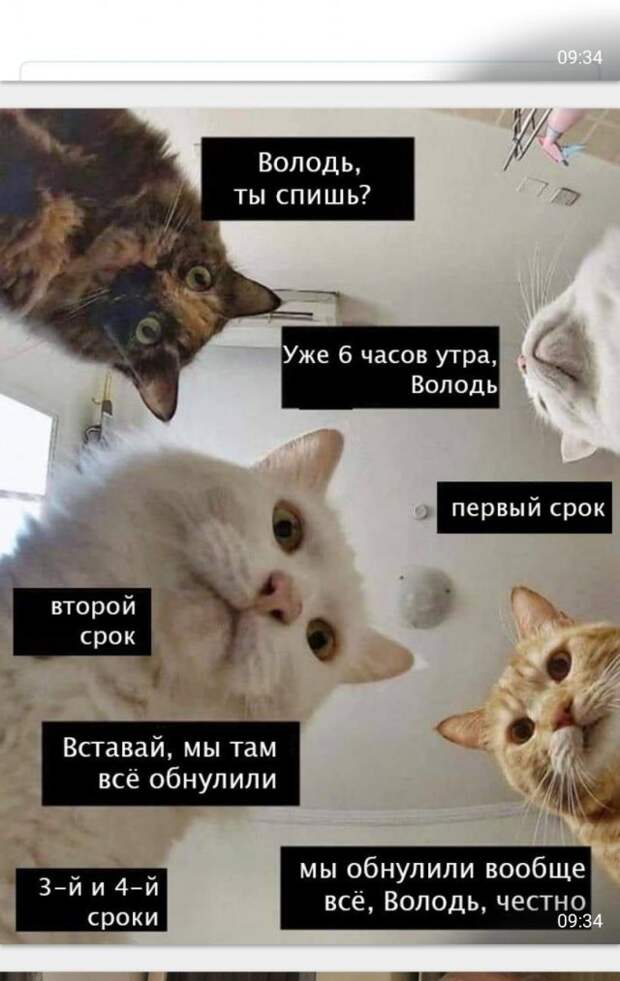 www.vsyako.net