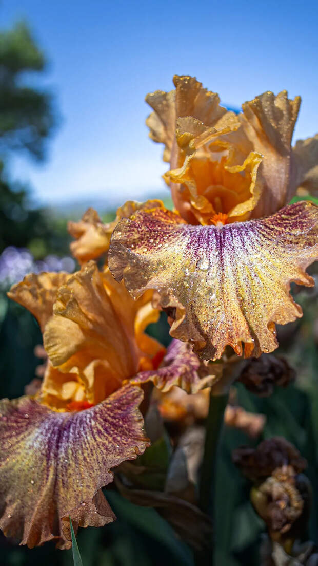Доброе утро! И хорошего дня!