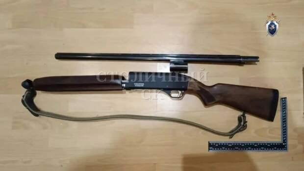 Суд Москвы арестовал мужчину, застрелившего из ружья своего сына