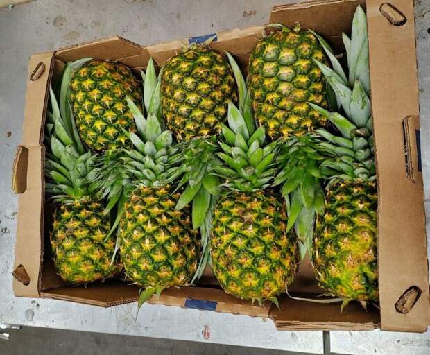 Роспотребнадзор рассказал о полезных свойствах ананаса