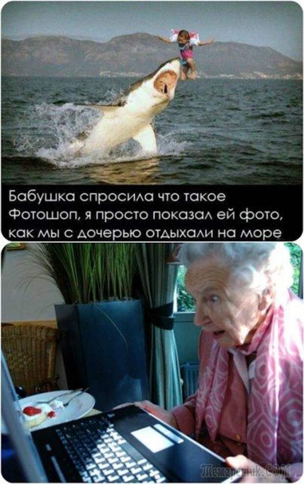 Шутки со страниц интернета