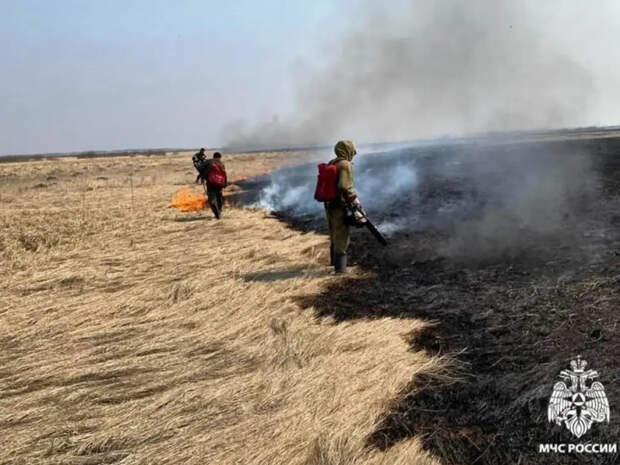 Особый противопожарный режим установлен в Новосибирской области: ограничения и штрафы