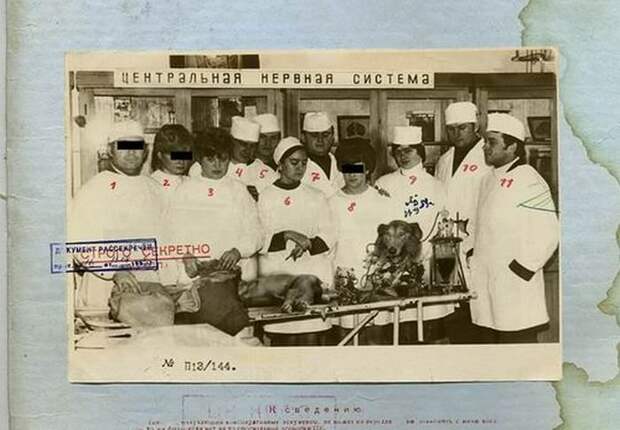 Совершенно Секретно - Советский биоробот  (8 фото)