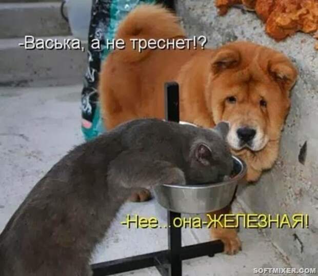 7828733bf15e2ca2aeecde62186_prev