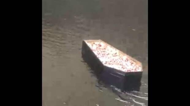 Черный гроб с гранатами проплыл по каналу Грибоедова в Петербурге