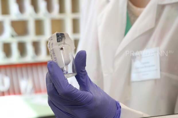 Специалисты напомнили о вакцинации от клещевого энцефалита