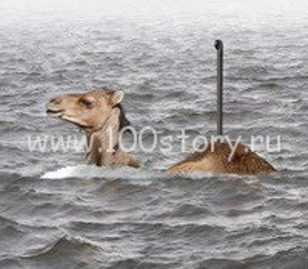 Верблюд-подводник