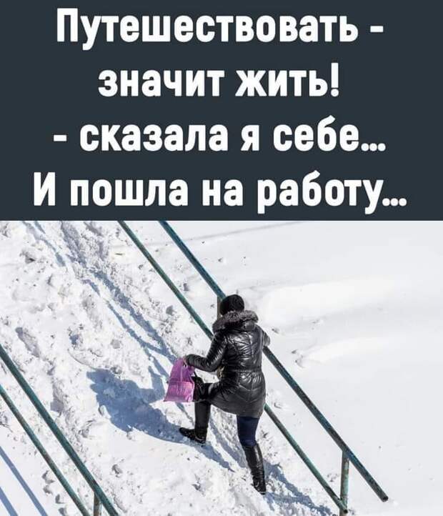 Два охотника наткнулись в лесу на свежие следы медведя...