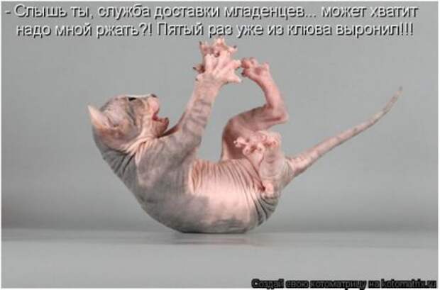 Смешная котоматрица
