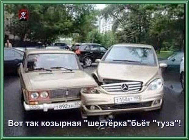 Подборка прикольных до слез картинок и мемов