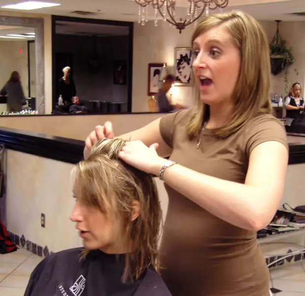 поставь survival. Day r survival 1. 274. 5. Day r фракции.