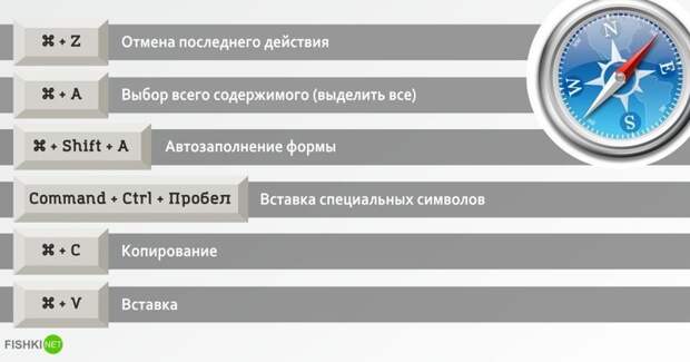 Горячие клавиши к самым популярным браузерам браузер, браузеры, горячие клавиши, программы, сочетания клавиш