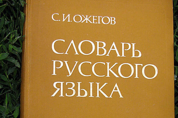 Филолог Козловская: слово "абьюзер" может быть внесено в словари русского языка