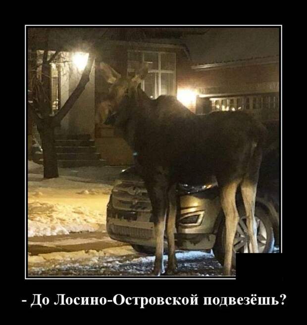 Демотиваторы (20 фото)