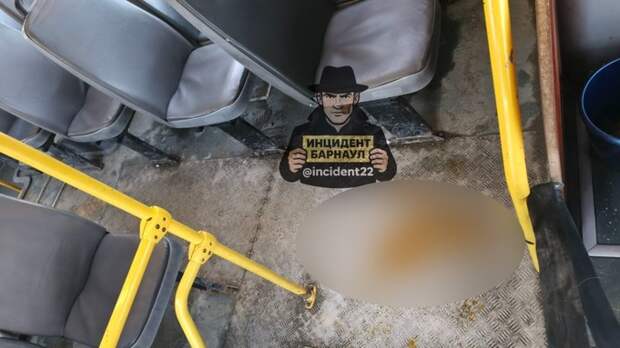 В Барнауле пассажирка маршрутки сходила в туалет на глазах у удивленных горожан