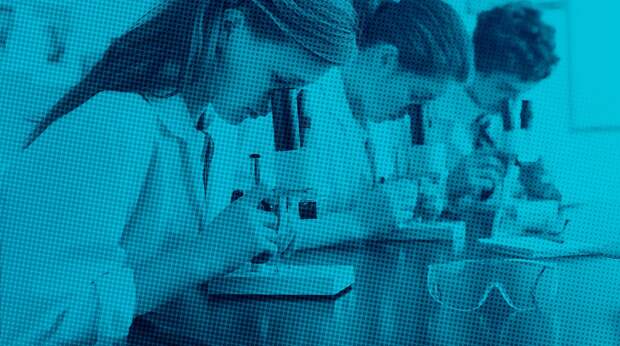 В детских смесях Nestle нашли опасный токсин, их ввоз в Россию запретили