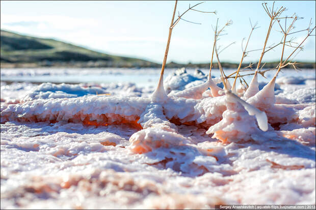 0 d8c60 9b527592 orig Самое соленое озеро в Крыму