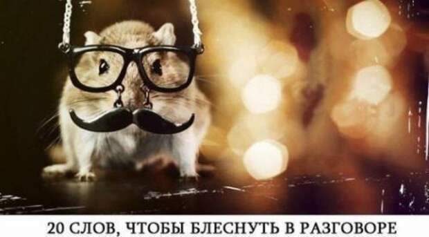 Словарь редко употребляемых слов.. Забавные Слова, которых не существует в русском языке, но мы их активно употребляем 03