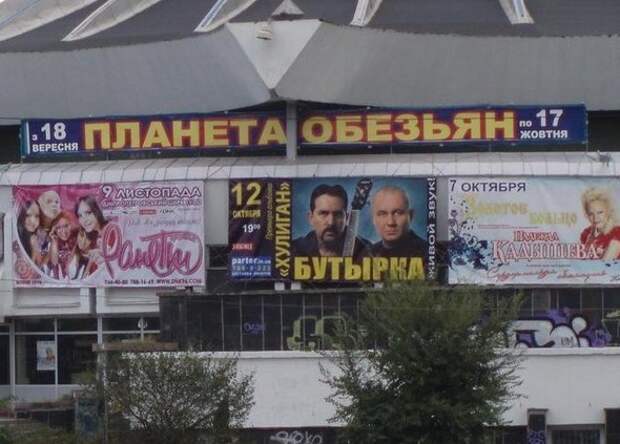 Они таки нашли друг друга прикол, случайности не случайны, случайность, совпадение, совпадения