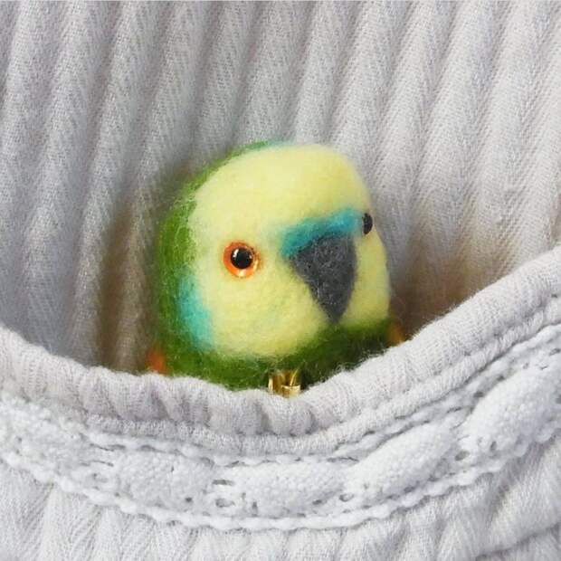 Очаровательная фетровая брошь-попугайчик