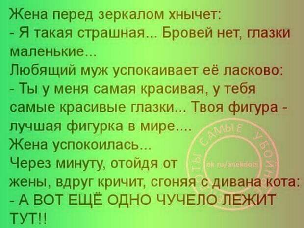 Не понимаю, почему бабы решили, что жёлтые тюльпаны - вестники разлуки?...