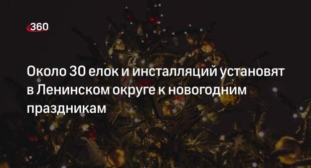 Около 30 елок и инсталляций установят в Ленинском округе к новогодним праздникам